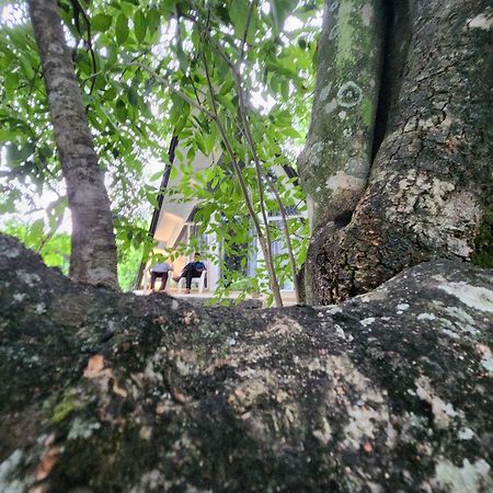 Samabe Lake Dambulla Ngoại thất bức ảnh