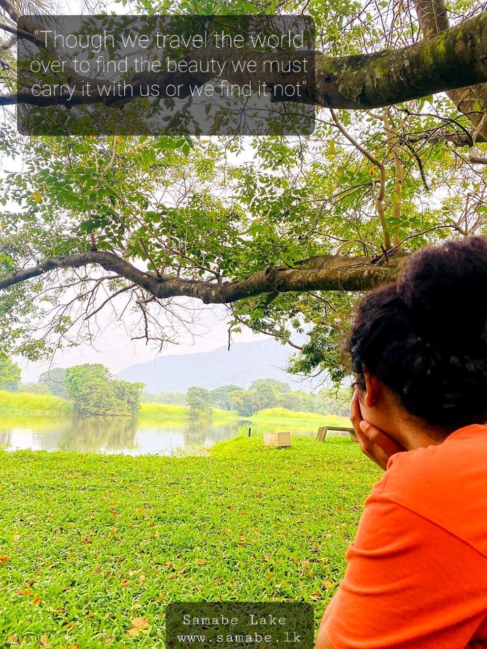 Samabe Lake Dambulla Ngoại thất bức ảnh