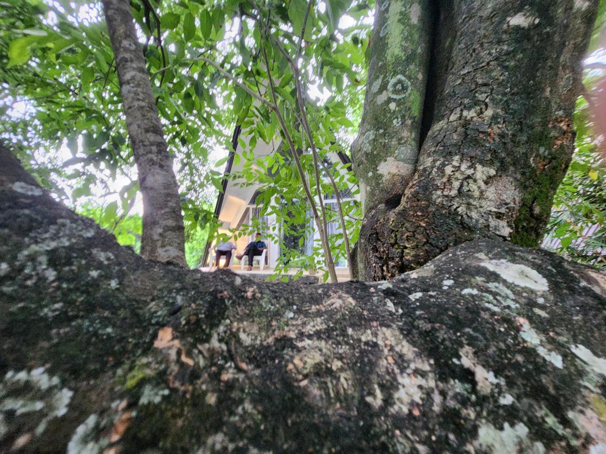Samabe Lake Dambulla Ngoại thất bức ảnh